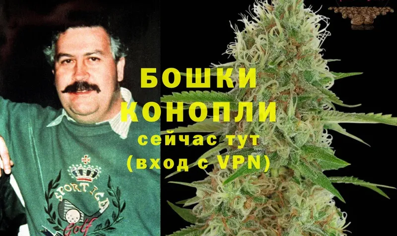 Каннабис THC 21%  где найти   Верещагино 